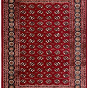 Jasmine New 1803 1018 Red