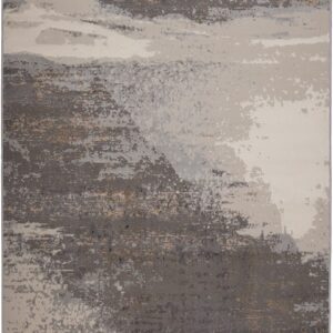 Fanci I290A Grey  Vison