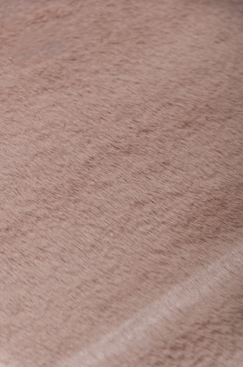 Krolik 07 Pink - Image 4