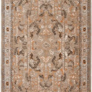Naf Naf Amaro S366B Brown Shrink M.Grey